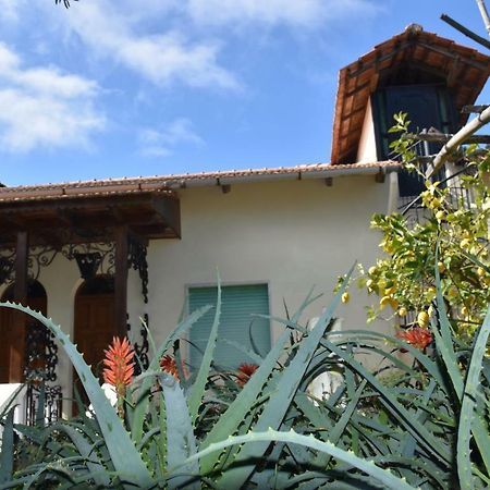 Апартаменты Casa Dei Limoni Масса-Лубренсе Экстерьер фото