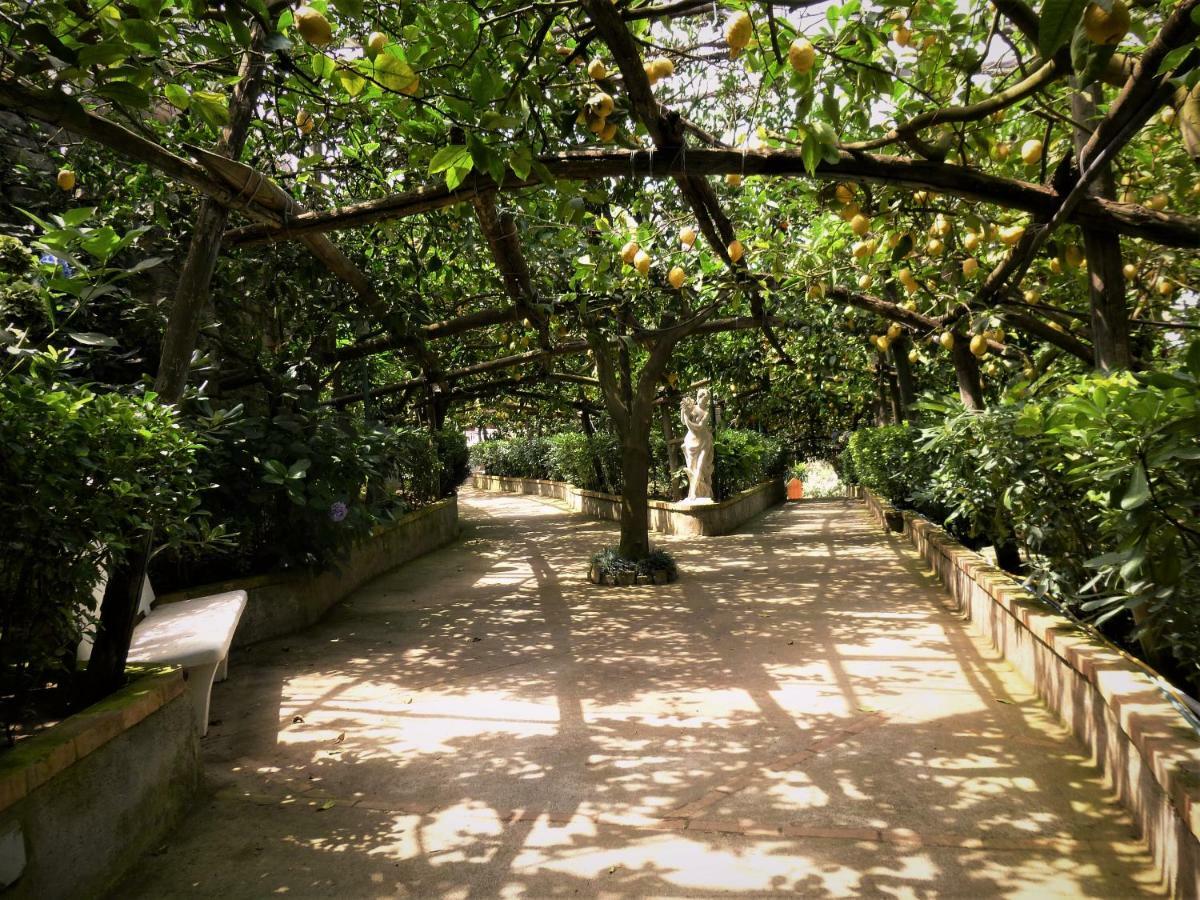 Апартаменты Casa Dei Limoni Масса-Лубренсе Экстерьер фото