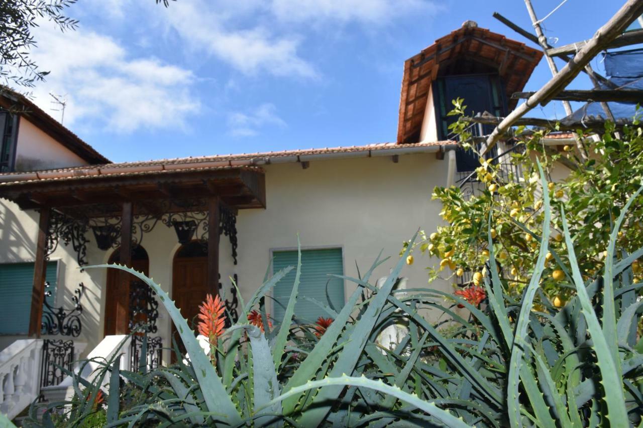 Апартаменты Casa Dei Limoni Масса-Лубренсе Экстерьер фото