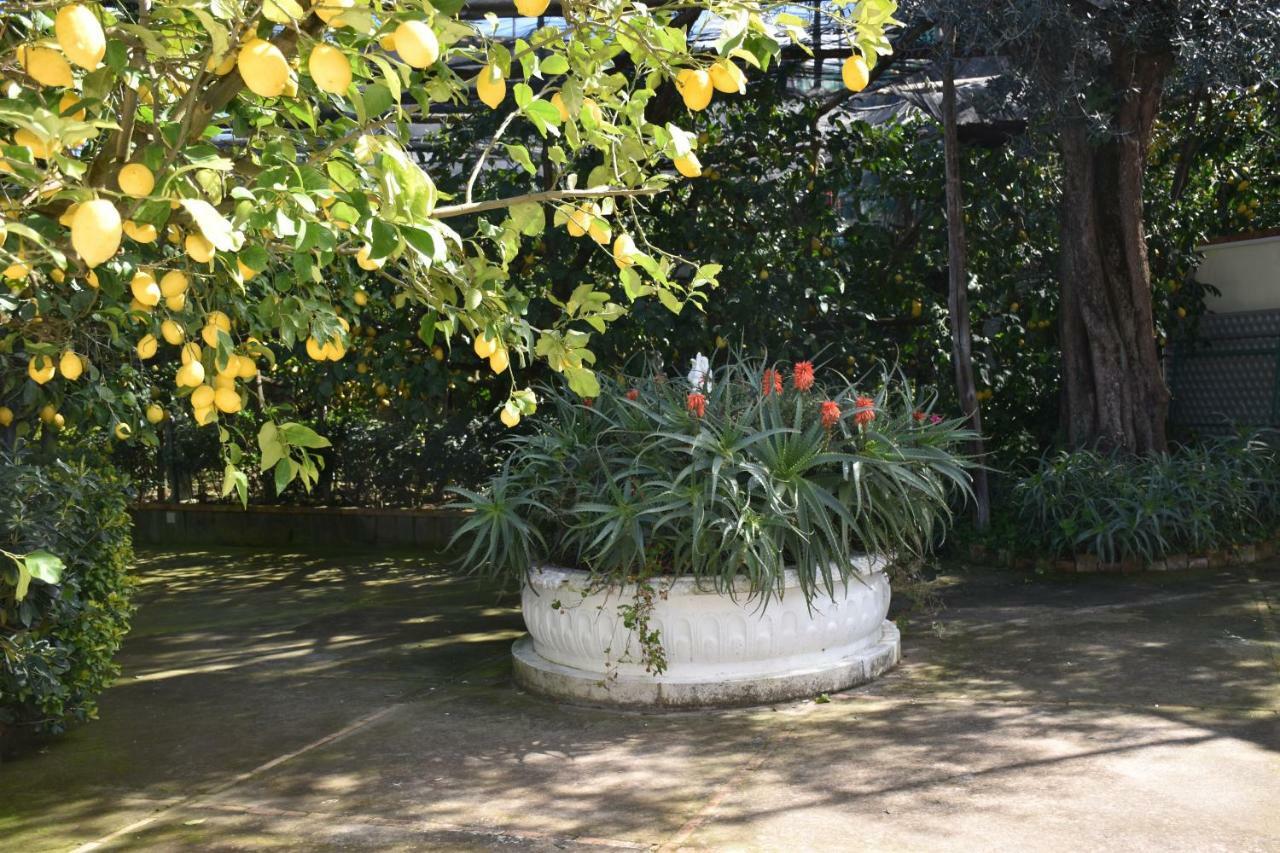 Апартаменты Casa Dei Limoni Масса-Лубренсе Экстерьер фото